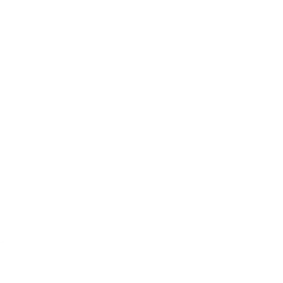 Bravuro Cellars Logo